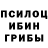Галлюциногенные грибы мухоморы Aleksei Shalaev