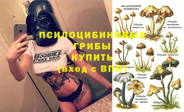 прущая мука Верхний Тагил
