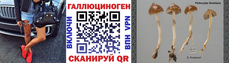 Галлюциногенные грибы ЛСД  Мончегорск 