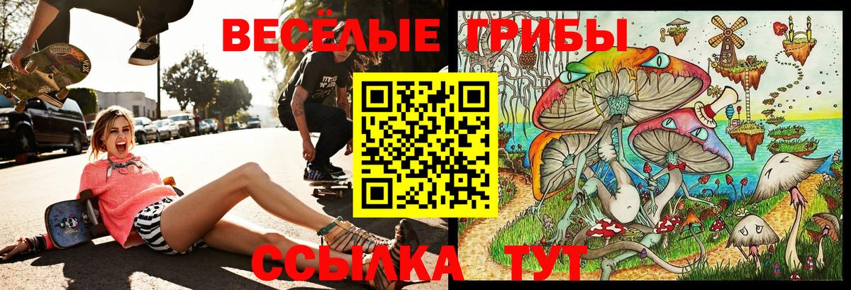 Псилоцибиновые грибы ЛСД Мончегорск
